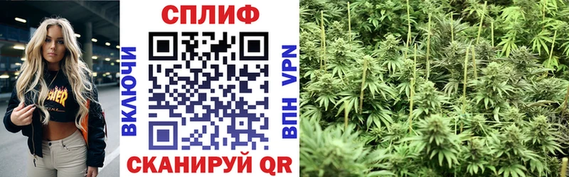 Купить закладки  Южа  Бошки марихуана гибрид 